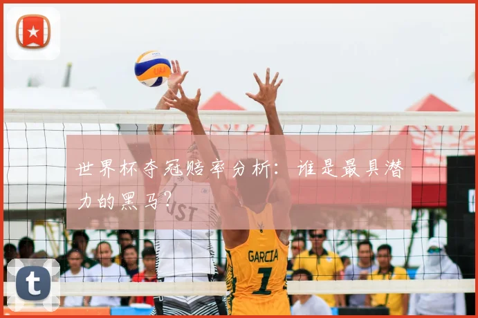 世界杯夺冠赔率分析：谁是最具潜力的黑马？