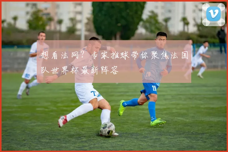 想看法网？专家推球带你聚焦法国队世界杯最新阵容